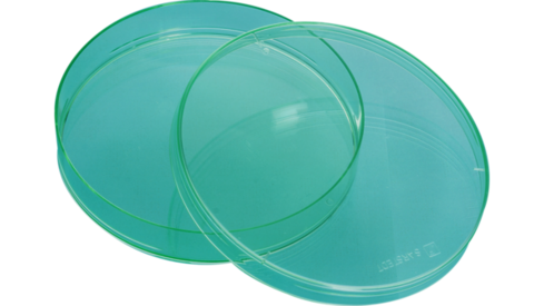 Placa de Petri, 92 x 16 mm, verde, com saliências de ventilação