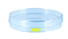 Placa de cultivo celular de, (ØxAl): 100 x 20 mm, superficie: Cell+