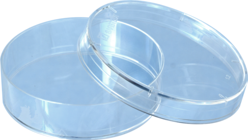 Placa de Petri, 60 x 15 mm, transparente, con relieves de aireación