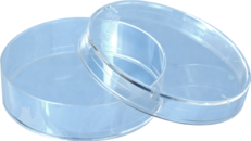 Petri dish, 60 x 15 mm, transparent, with ventilation cams