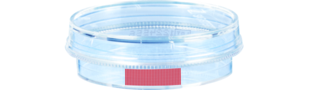 Zellkulturschale, (ØxH): 35 x 10 mm, Oberfläche: Standard