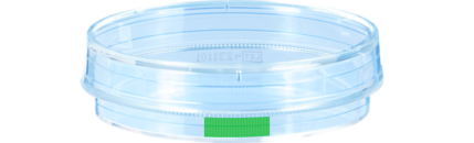 Tissue culture dish, (ØxH): 60 x 15 mm, surface: Suspension