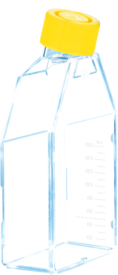 Cell culture flask, T-75, surface: Cell+, Filter cap