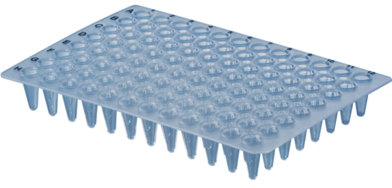 PCR plate without skirt, 96 well, transparent, Low Profile, 100 µl, PCR Performance Tested, PP