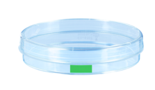 Tissue culture dish, (ØxH): 100 x 20 mm, surface: Suspension