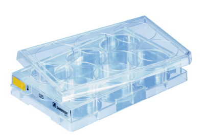 Placa de cultivo celular, 6 pocillos, superficie: Cell+, fondo plano