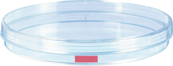 Tissue culture dish, (ØxH): 150 x 20 mm, surface: Standard