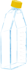 Zellkulturflasche, T-175, Oberfläche: Cell+, Filterkappe