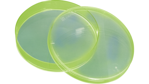 Petri dish, 92 x 16 mm, yellow, with ventilation cams