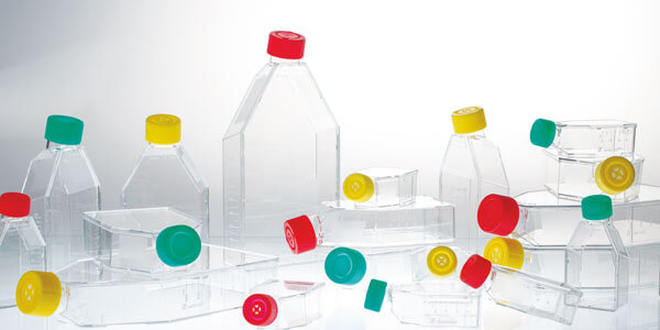Zellkulturflaschen liegend aufeinander gestapelt, dahinter stehend, in unterschiedlicher Größe