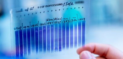 11. Dresdner Liquorsymposium