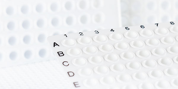 Nahaufnahme weißes beschriftetes PCR Gefäß